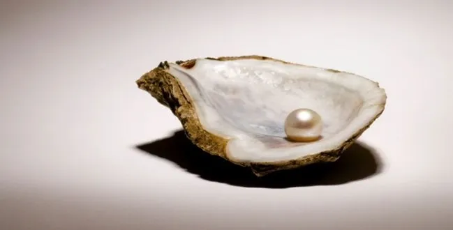 FOTO: SEO 2017 Trendleri